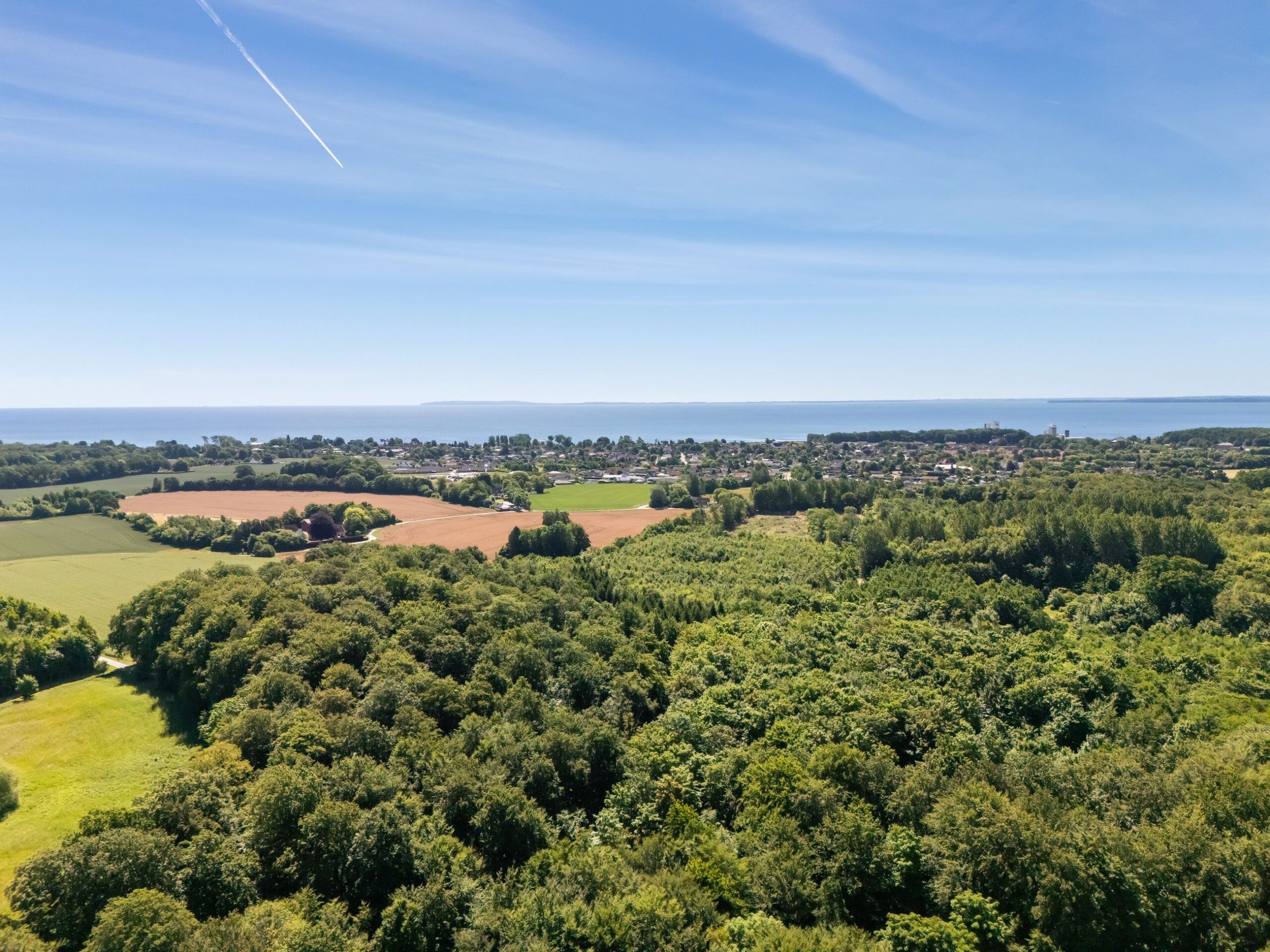 DJI_20260622113513_0885_D.jpg