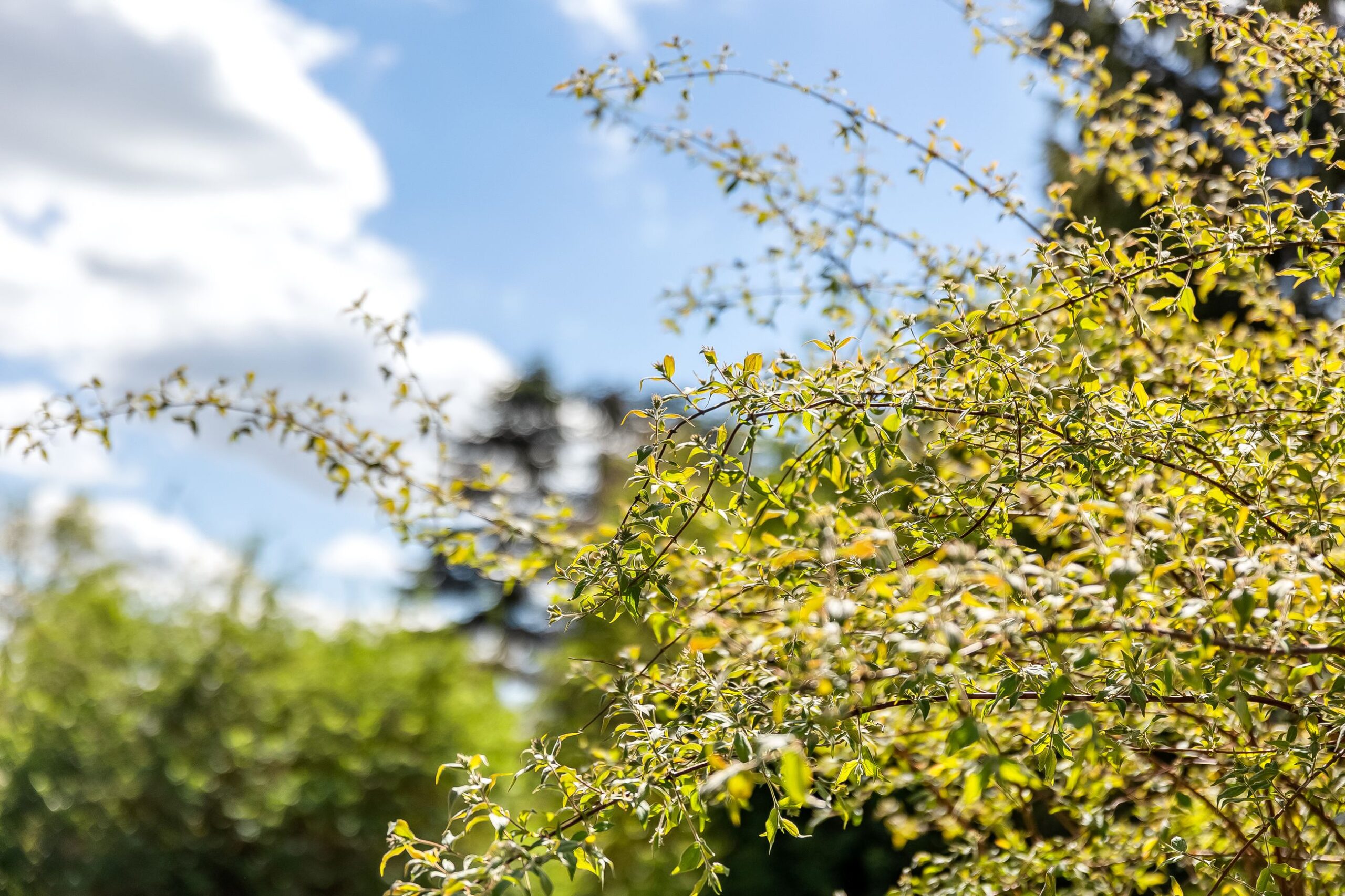 d71db2f1-85d0-4966-805e-6a967586fff5.jpg
