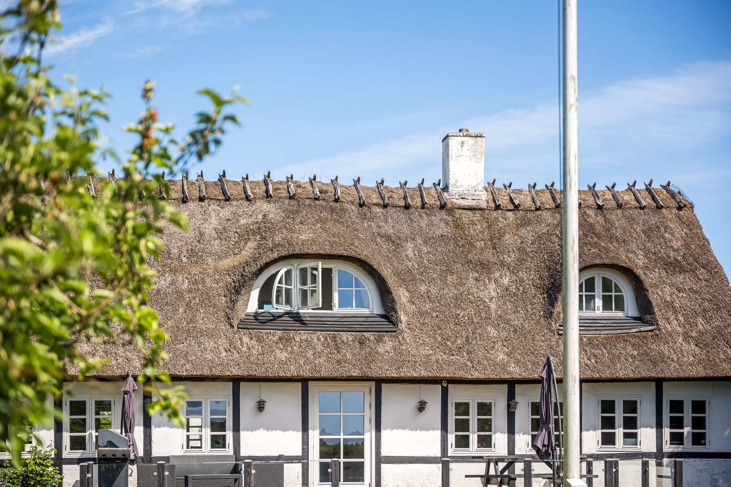 8b410f85-fc81-4e8a-8cc5-d7c544370e00.jpg