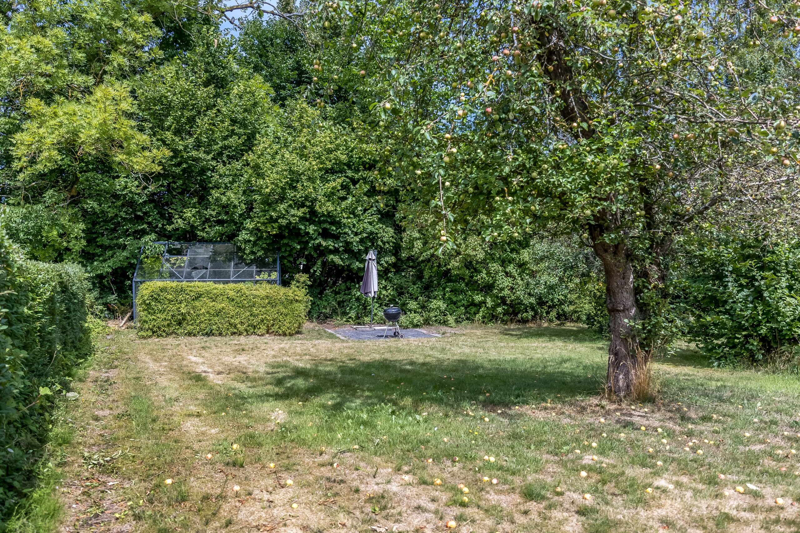 1-aa140f08-09b8-496a-9dc8-a3d3fdff68b9.jpg